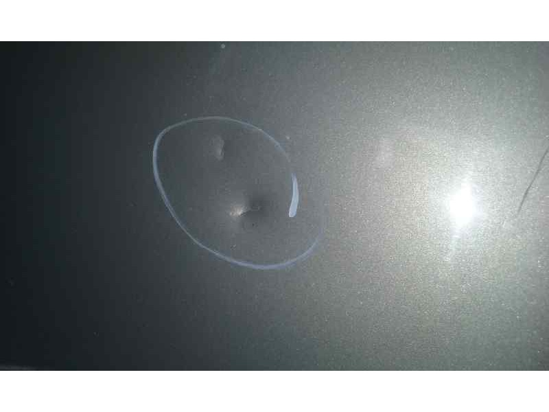 Recambio de capot para fiat panda (169) 1.2 8v alessi referencia OEM IAM   TOCADO