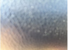 ELEVALUNAS DELANTERO IZQUIERDO 6982005050 