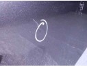 Recambio de puerta trasera izquierda para fiat bravo (198) 1.9 dynamic multijet referencia OEM IAM   TOCADA