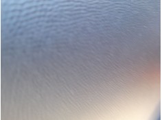 ELEVALUNAS DELANTERO IZQUIERDO 9828130780 