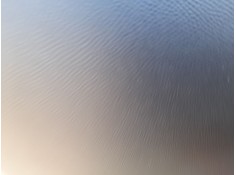 ELEVALUNAS TRASERO IZQUIERDO 9843774280 