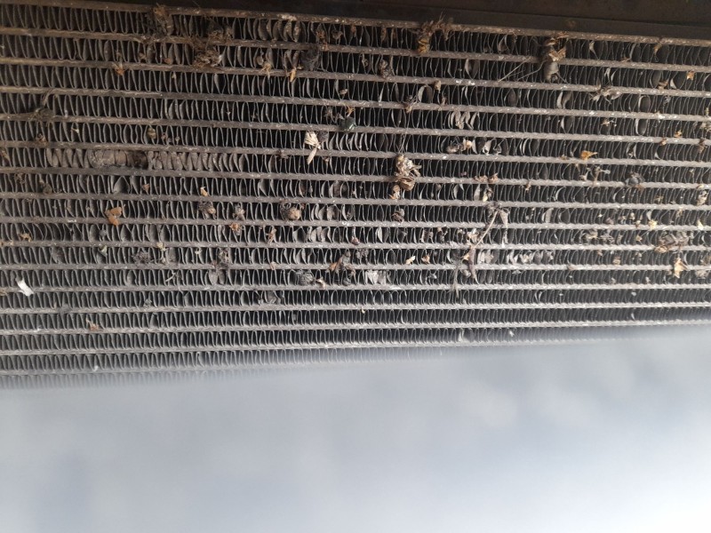 Recambio de condensador / radiador aire acondicionado para opel astra k sports tourer (b16) 1.6 cdti (35) referencia OEM IAM 391