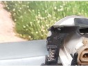 Recambio de faro antiniebla derecho para peugeot 206+ básico referencia OEM IAM   1 PATA ROTA
