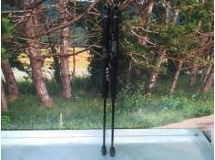 AMORTIGUADORES MALETERO / PORTON 8178007000 