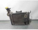 Recambio de radiador agua para kymco g-dink 125 grand dink 125i referencia OEM IAM   