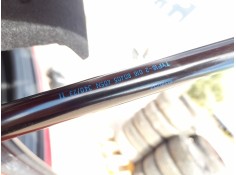 AMORTIGUADORES MALETERO / PORTON 10316252 