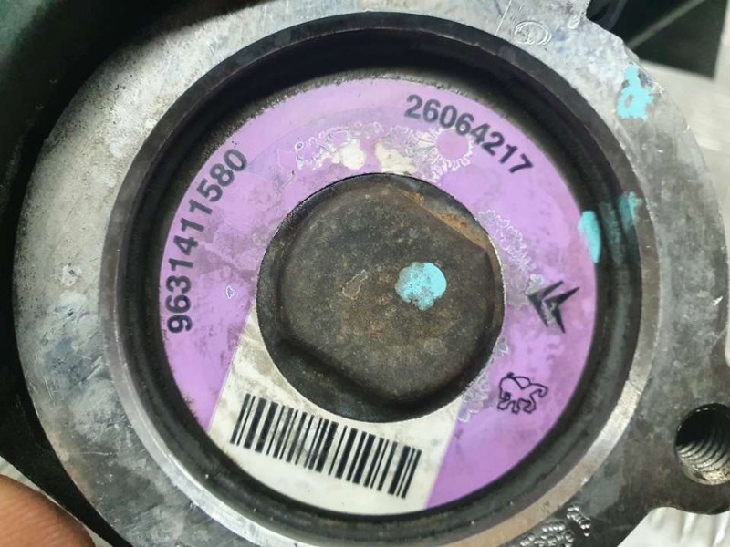 Recambio de bomba direccion para peugeot 206 berlina xr referencia OEM IAM 9631411580 26064217 