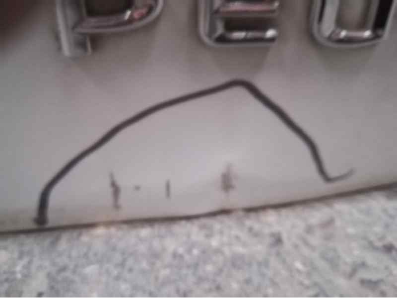 Recambio de porton trasero para peugeot 3008 style referencia OEM IAM   TOCADO