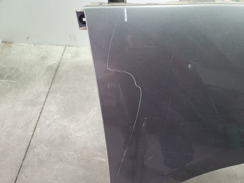 Recambio de aleta delantera derecha para renault scenic iii dynamique referencia OEM IAM 631002345R  TOCADO