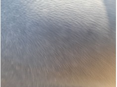 ELEVALUNAS DELANTERO DERECHO 51337465248 