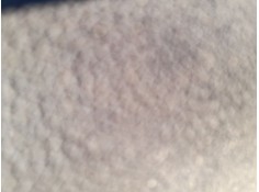 ELEVALUNAS TRASERO IZQUIERDO 51337465243 