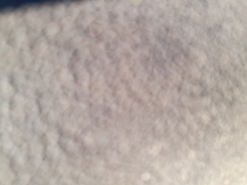 Recambio de elevalunas trasero izquierdo para bmw serie 1 lim. (f40) 118d referencia OEM IAM 51337465243  