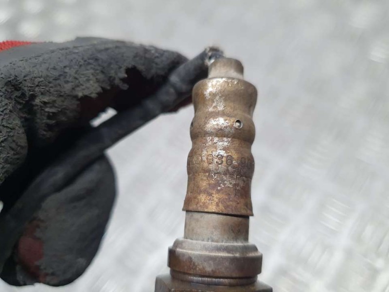 Recambio de sonda lambda para seat ibiza (6l1) stella referencia OEM IAM 036906262D  