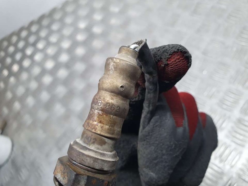 Recambio de sonda lambda para seat ibiza (6l1) stella referencia OEM IAM 036906262D  