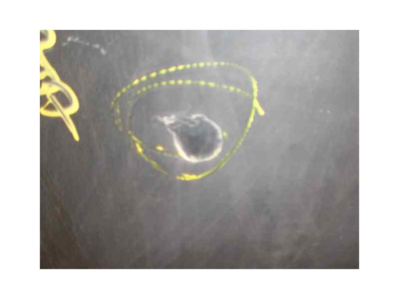 Recambio de capot para hyundai sonata (y3) 2.0 16v cat referencia OEM IAM   