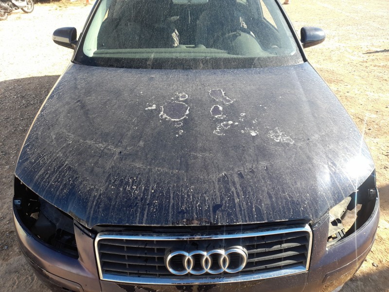 Recambio de capot para audi a3 (8p1) 2.0 tdi 16v referencia OEM IAM 8P0823029B  