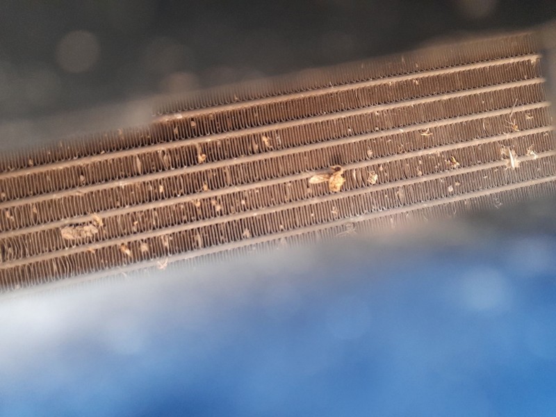 Recambio de condensador / radiador aire acondicionado para audi a3 (8p1) 2.0 tdi 16v referencia OEM IAM 1K0820411AK  