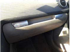 GUANTERA 8P1857035P6PS 