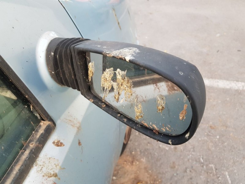 Recambio de retrovisor derecho para fiat punto berlina (188) 1.2 8v elx (i) referencia OEM IAM 735310073  C/ MANDO