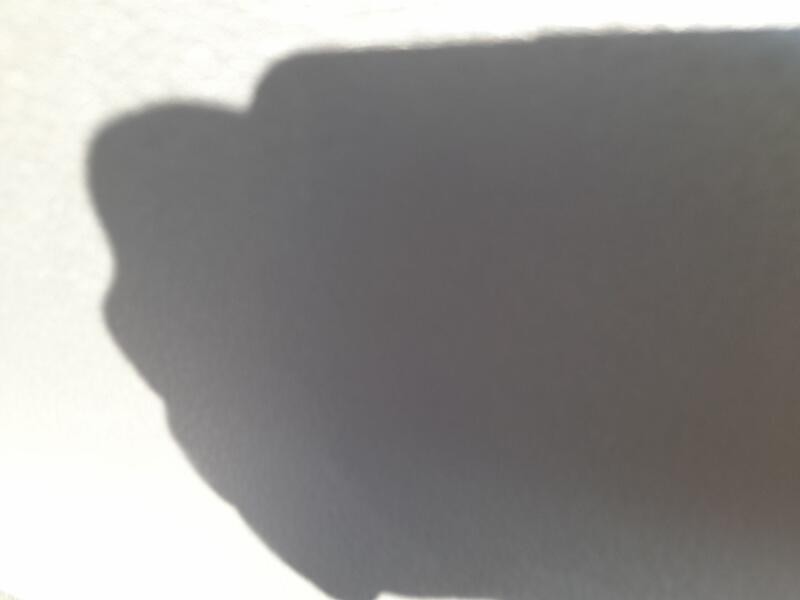 Recambio de elevalunas delantero derecho para seat exeo (3r2) 2.0 tdi referencia OEM IAM 8E0837462C  