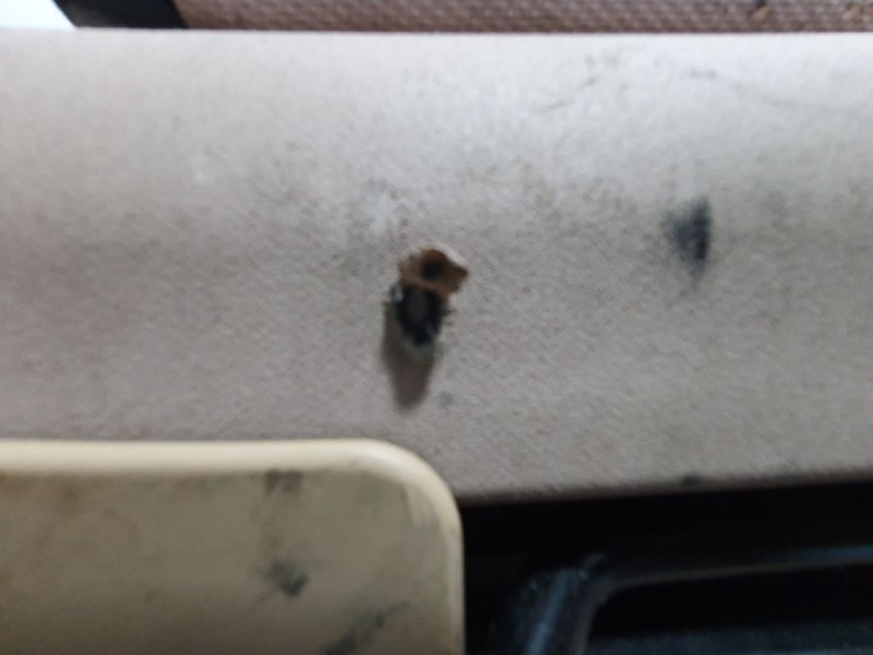 Recambio de bandeja trasera para bmw x3 (e83) 2.0d referencia OEM IAM 3424660  TOCADA