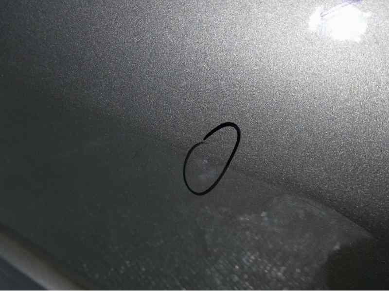 Recambio de puerta trasera derecha para renault megane ii berlina 5p authentique referencia OEM IAM   POCO TOCADA