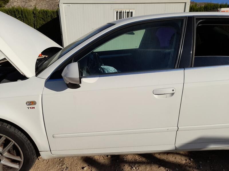 Recambio de puerta delantera izquierda para seat exeo (3r2) 2.0 tdi referencia OEM IAM 3R0831051 ROZADA 