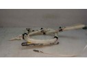 Recambio de airbag cortina delantero derecho para ford focus lim. (cb8) titanium referencia OEM IAM   