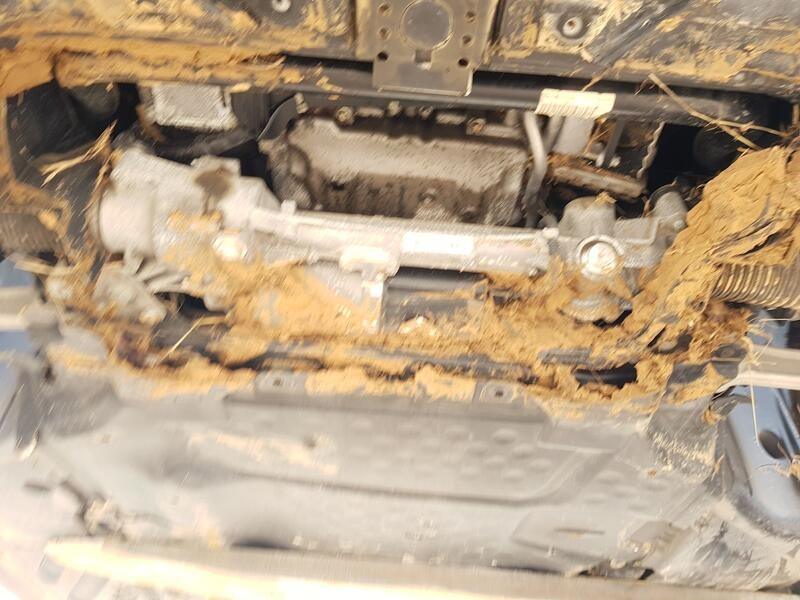 Recambio de puente delantero para mercedes-benz clase c t-model (s205) c 220 bluetec / d (205.204) referencia OEM IAM A205628005