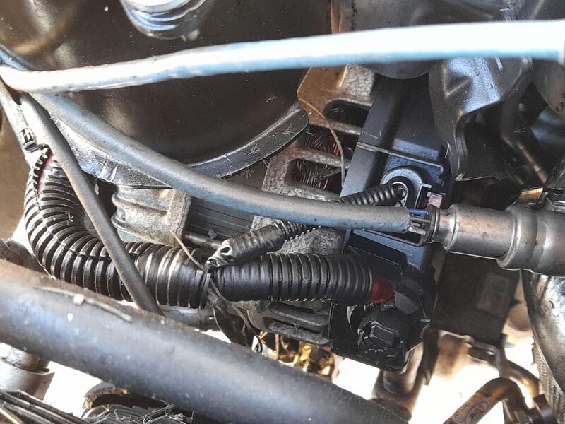 Recambio de alternador para ford ecosport 1.5 ecoblue tdci referencia OEM IAM 2077646  