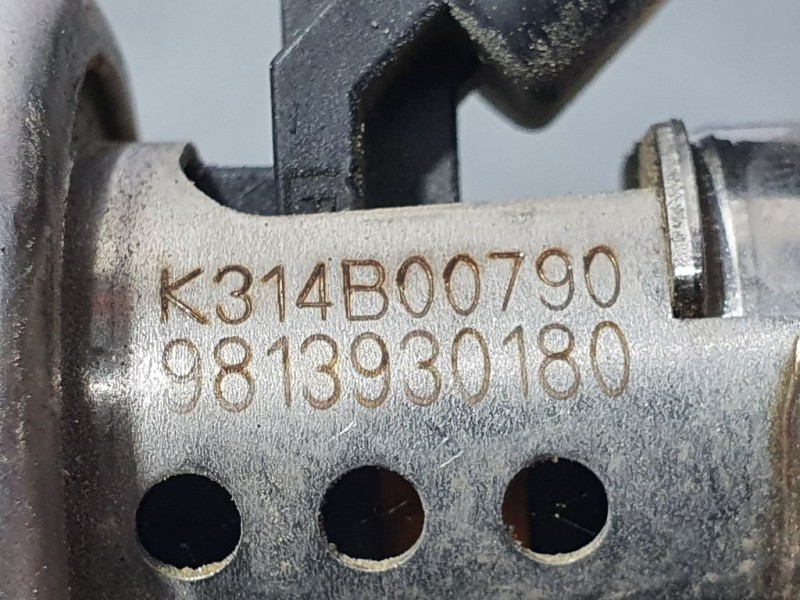 Recambio de inyector adblue para citroën c-elysée shine referencia OEM IAM 9813930180  