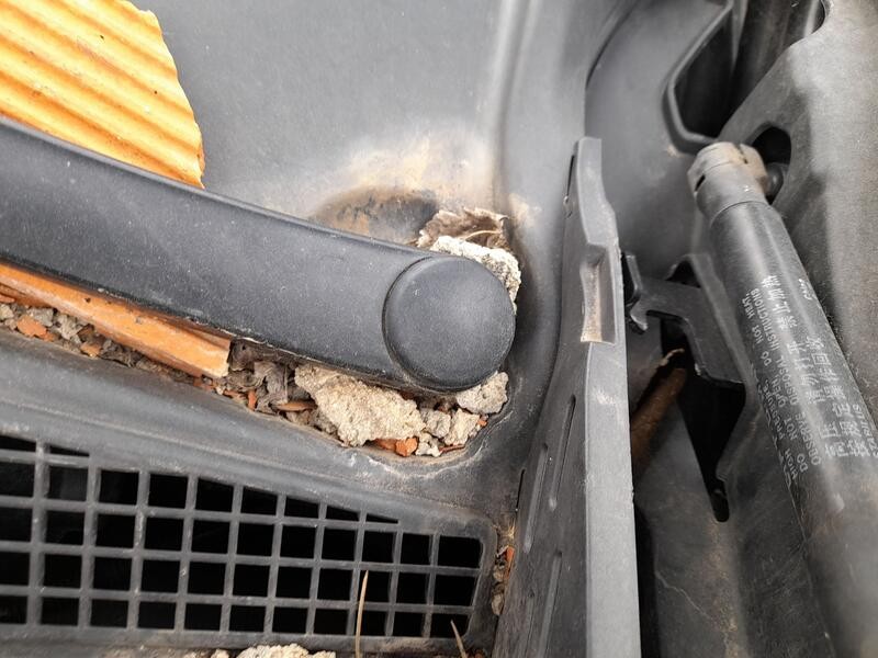 Recambio de motor limpia delantero para lynk & co 01 phev referencia OEM IAM 8889502195  