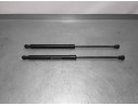 Recambio de amortiguadores maletero / porton para dacia sandero basis referencia OEM IAM 904529943R  PAREJA