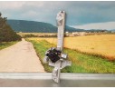 Recambio de elevalunas delantero derecho para peugeot 2008 (--.2013) active referencia OEM IAM  2 PINS ELECTRICO