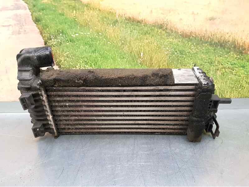 Recambio de intercooler para ford focus lim. business referencia OEM IAM BV619L440CJ CX168003 