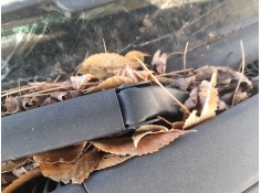 MOTOR LIMPIA DELANTERO 1562546 