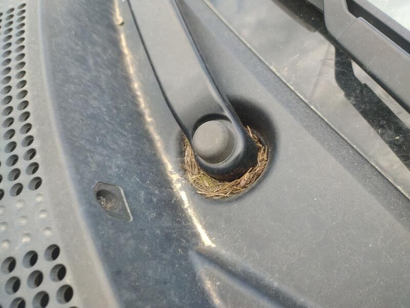 Recambio de motor limpia delantero para honda cr-z (zf) 1.5 ima (zf1) referencia OEM IAM 76505SZTG01  