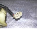Recambio de elevalunas trasero derecho para volkswagen passat berlina (312) referencia OEM IAM SIN REF. 2 PINS ELECTRICO 
