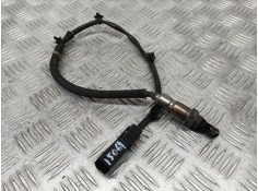 SONDA LAMBDA 55489509 