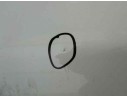 Recambio de puerta trasera derecha para fiat panda van (i) (271) active 2 sitze referencia OEM IAM   TOCADA