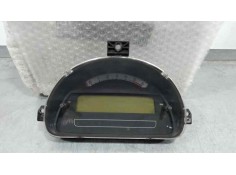 CUADRO INSTRUMENTOS 216787204 