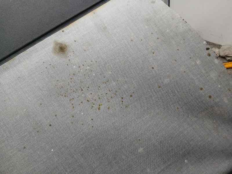 Recambio de bandeja trasera para toyota rav4 hybrid 4x4 advance referencia OEM IAM 649074030  SUCIA