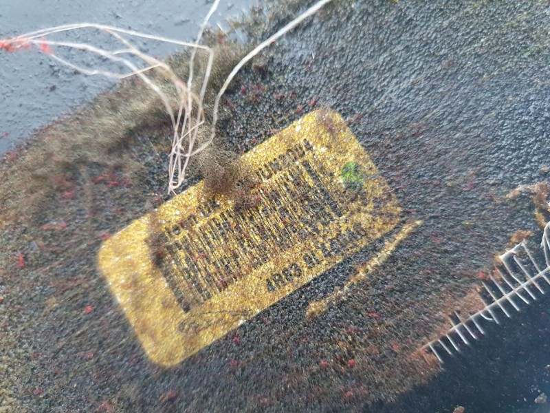 Recambio de intercooler para jaguar s-type 2.7 v6 diesel executive referencia OEM IAM SIN REF  