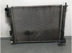 RADIADOR AGUA 253101P600 