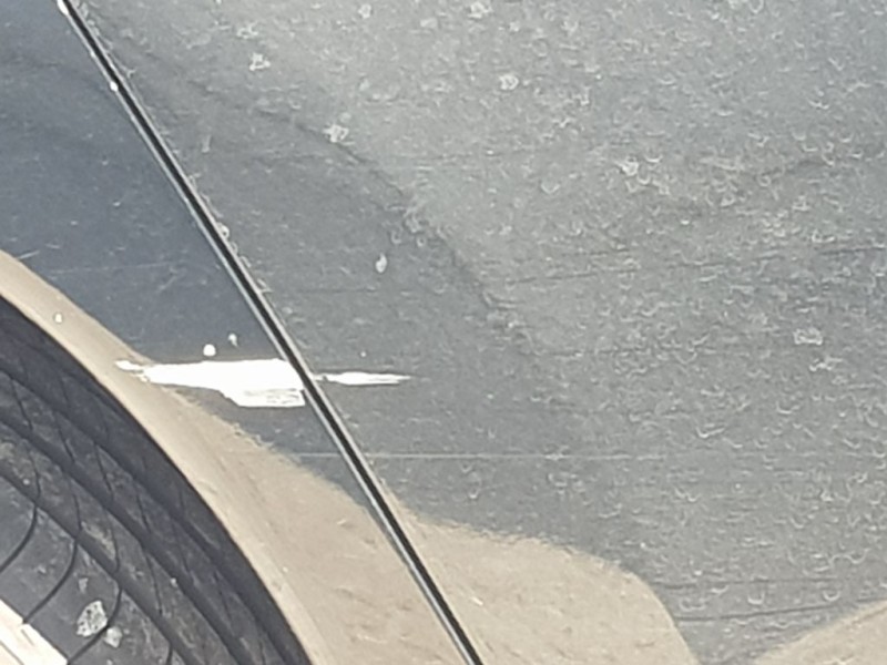 Recambio de puerta trasera derecha para peugeot 3008 active referencia OEM IAM 9008V4  TOCADA