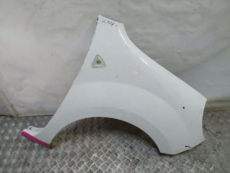 Recambio de aleta delantera derecha para renault kangoo profesional referencia OEM IAM   