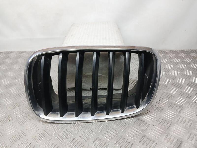 Recambio de rejilla delantera para bmw x5 (e70) 3.0 d referencia OEM IAM 51137305589  IZQUIERDA