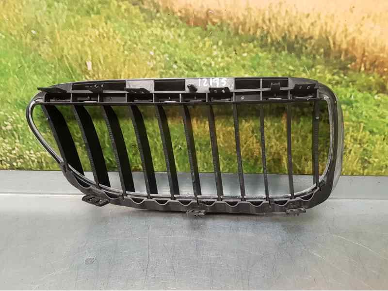 Recambio de rejilla delantera para bmw serie 6 coupe (e63) 630i referencia OEM IAM 51137077935  LADO IZQUIERDO