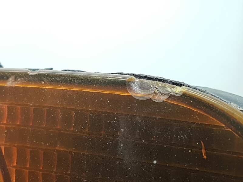 Recambio de piloto delantero izquierdo para bmw serie 5 berlina (e34) referencia OEM IAM   TOCADO