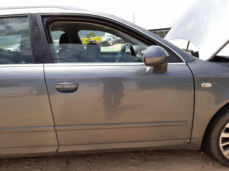 Recambio de puerta delantera derecha para seat exeo (3r2) 2.0 tdi referencia OEM IAM 3R0831052 ROZADA 